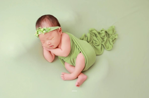 保亭陕西助孕公司名单揭晓助孕行业新动向